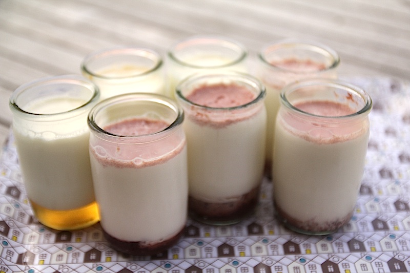 Recette de yaourts maison à la vanille - bien fermes et délicieux